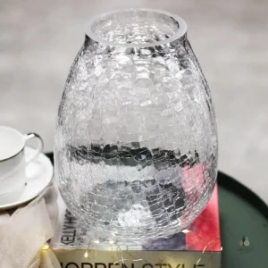 Vase en verre transparent stylé