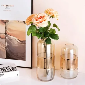 Vase en verre élégant et minimaliste