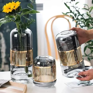 Vase transparent pour décoration intérieure