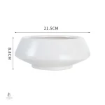 Vase feng shui en plastique durable pour un usage extérieur