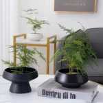 Vase feng shui traditionnel en porcelaine pour l'harmonie
