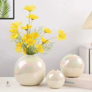 Vase boule élégant en forme sphérique