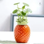 Vase en forme de fruit pour décoration intérieure