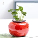 Vase fruit design pour embellir votre espace