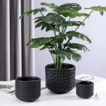 Vase pot en verre transparent, design épuré