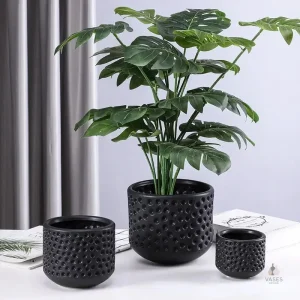 Vase pot en verre transparent, design épuré