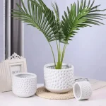 Vase pot en terre cuite au style rustique