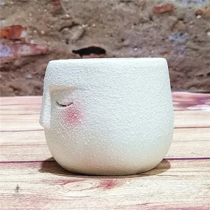 Pot de fleur élégant pour décoration