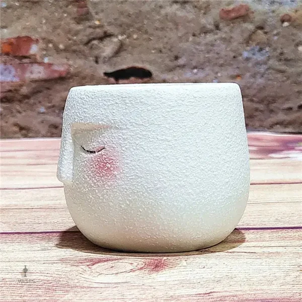 Pot de fleur élégant pour décoration
