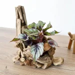 Vase décoratif en bois naturel