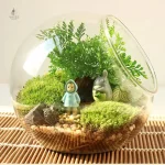 Vase en verre boule élégant